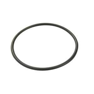 Above Ground Pool Filter Cap Seal Replacement for 330 gal. Pump